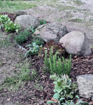 PHOTO-2025-05-10-20-39-06 4.jpg