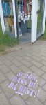 IMG_8050.jpeg