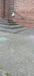 IMG_8049.jpeg