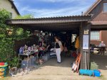 IMG_8029.jpeg